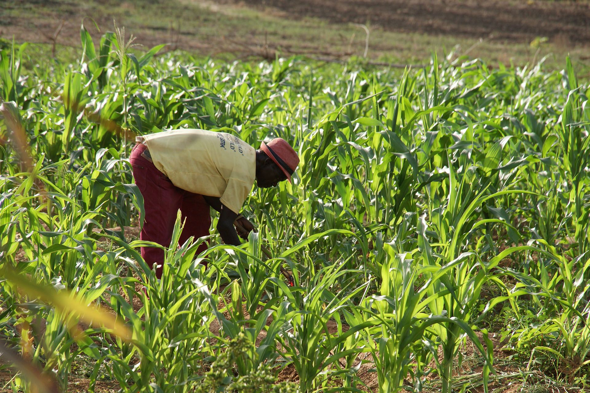 Campus per imprenditori agricoli